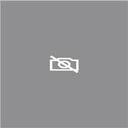 Docente en materias de Ciencias Sociales, económico administrativas, Derecho y Humanidades